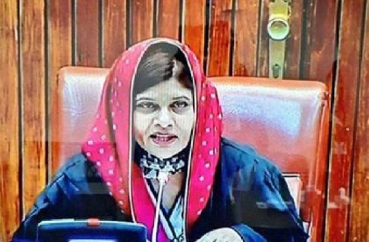 Senator Krishna Kohli chairs Senate session on Kashmir Day