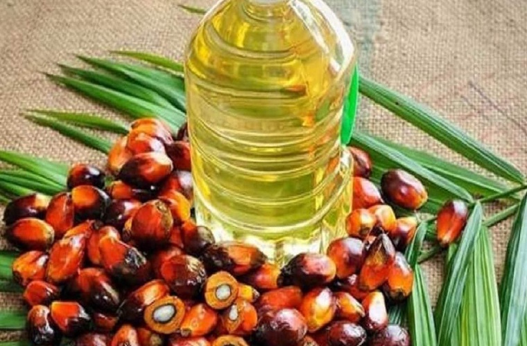 Indonesia president declares end of palm oil export ban from Monday