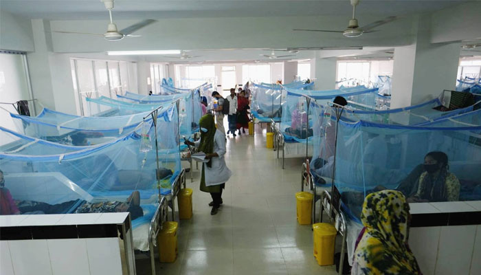 Islamabad: Dengue situation got worsened