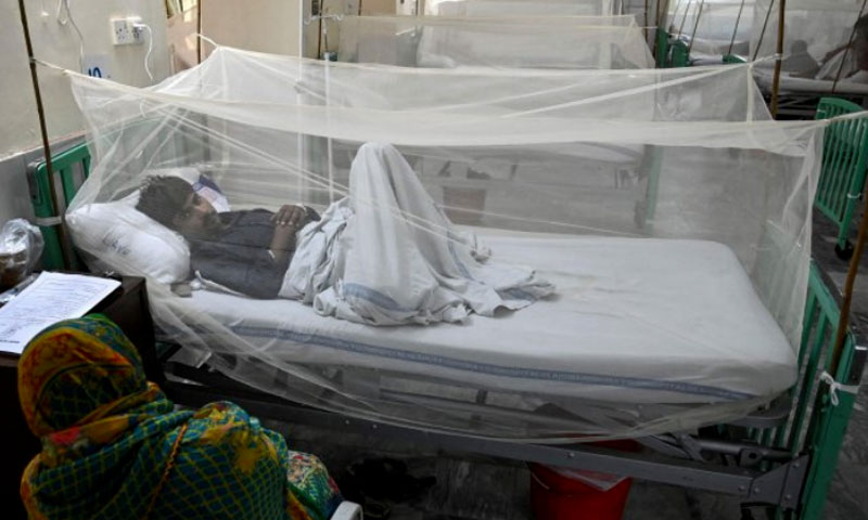 Sindh: Dengue fever claim 27 lives