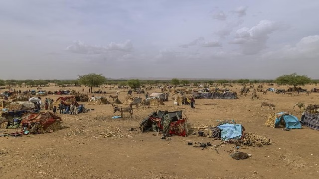 100 people died from cholera and dengue fever in War-torn Sudan