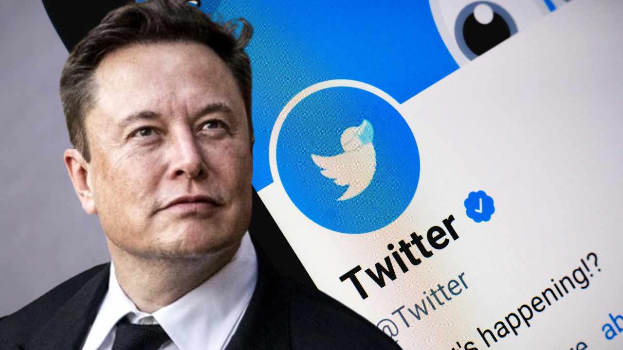 Elon Musk’s comment on AfD and Germany faces public backlash