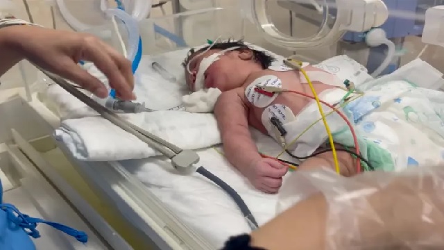 8,000 patients need evacuation from Gaza: WHO