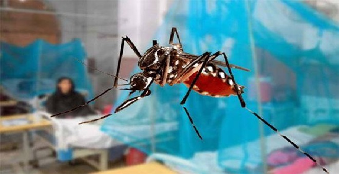 New cases of dengue fever continue to emerge in Punjab