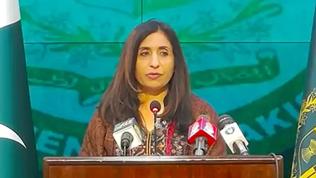 Pakistan hurt by Congressional panel hearing remarks