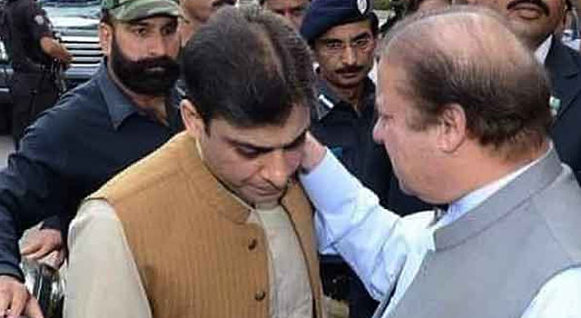 Election 2024: PML-N top leadership can’t vote for ‘lion’