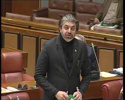 Alliance with PML-N, PPP to negate PTI’s ideology: Ali Muhammad