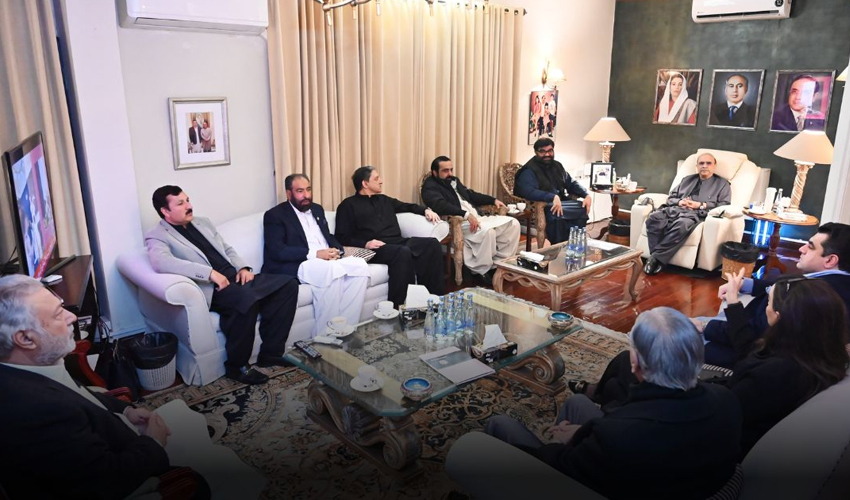 ANP announces support for Zardari in presidential election
