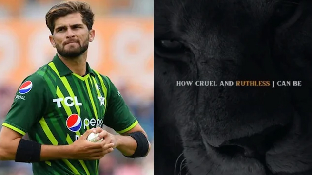Shaheen’s latest Instagram story raises eyebrows