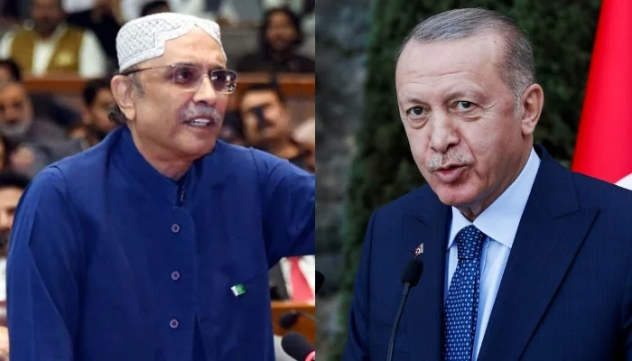 Zardari, Erdogan discuss bilateral ties