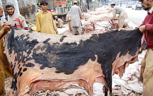 Hide collection without permission banned