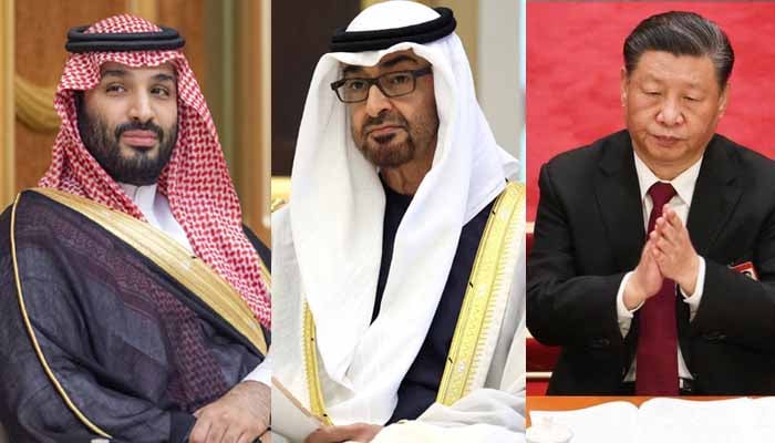 Pakistan got assurances from China, Saudi Arabia and UAE to extend loan period