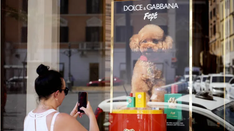 Luxury Italian brand introduces perfume for dogs