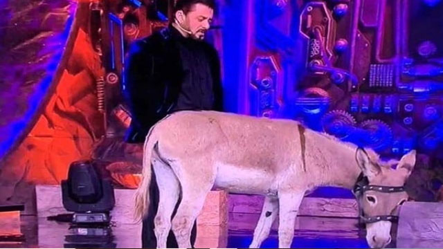 PETA urges Salman Khan to remove donkey from Bigg Boss 18 set