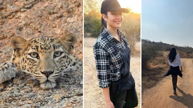 Katrina Kaif moved to jungle?