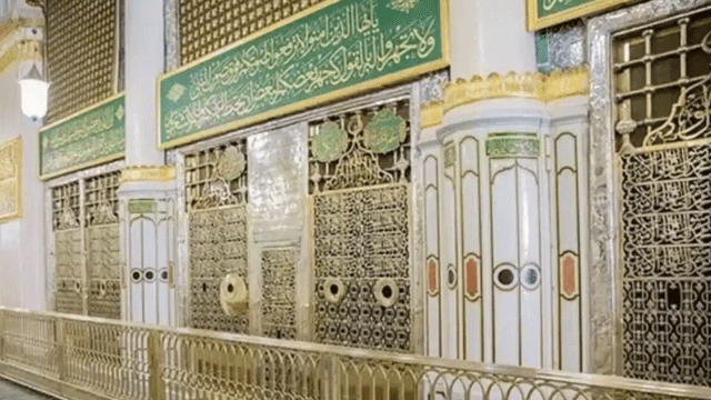 How many Pakistanis visited Roza-e-Rasool (PBUH) in 3 months?