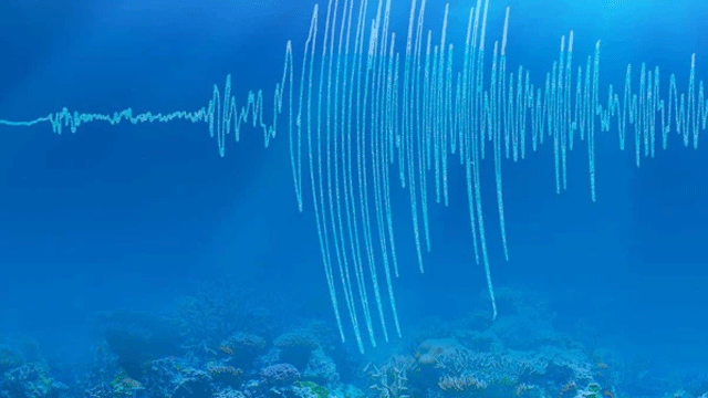 Mock tsunami exercise conducted by Pakistan Meteorological Department