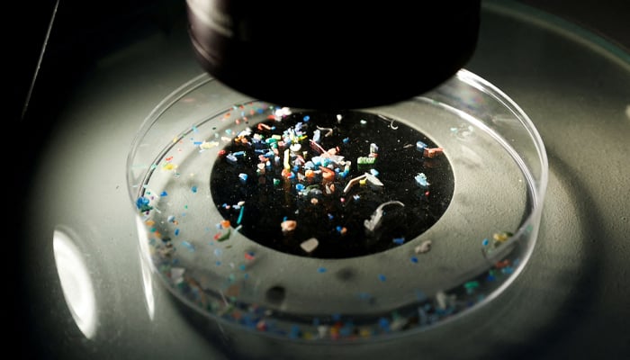 Study says microplastics detected in almost every seafood sample