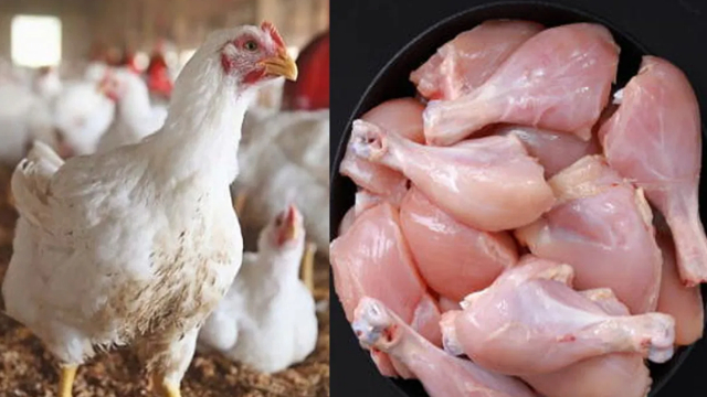 Chicken Prices Surge Ahead of Eid-ul-Fitr 2025 – Check Latest Rates