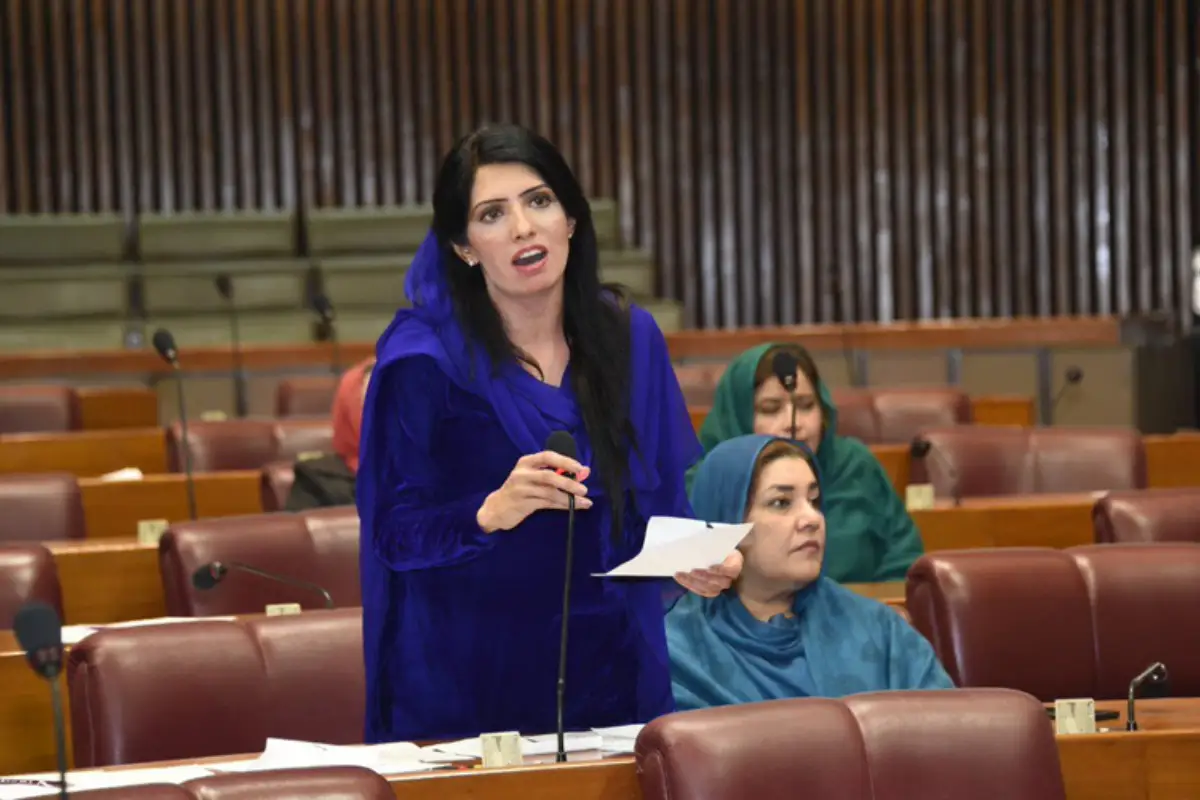 Police arrest PTI chief organizer Aaliya Hamza