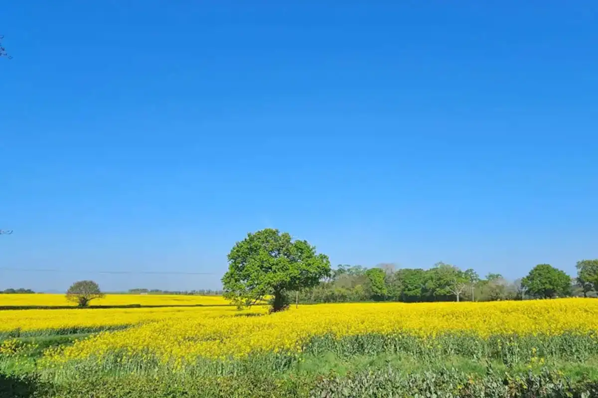 UK Braces for Hottest Start to May on Record – Temperatures Could Hit 29°C