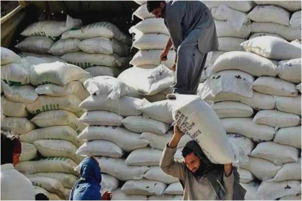 Flour Prices Drop in Pakistan – Check New Rates