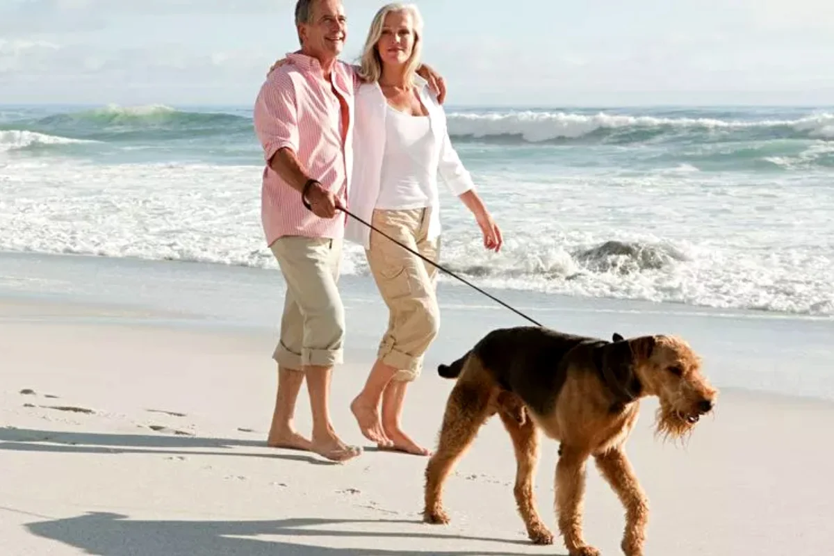 New rule for UK dog owners begins this week- breaking It could cost £1,000