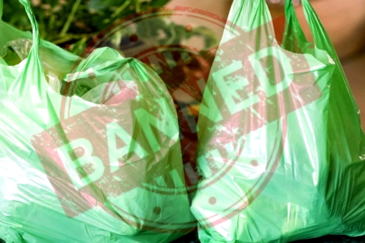 Sindh bans all plastic bags from this date