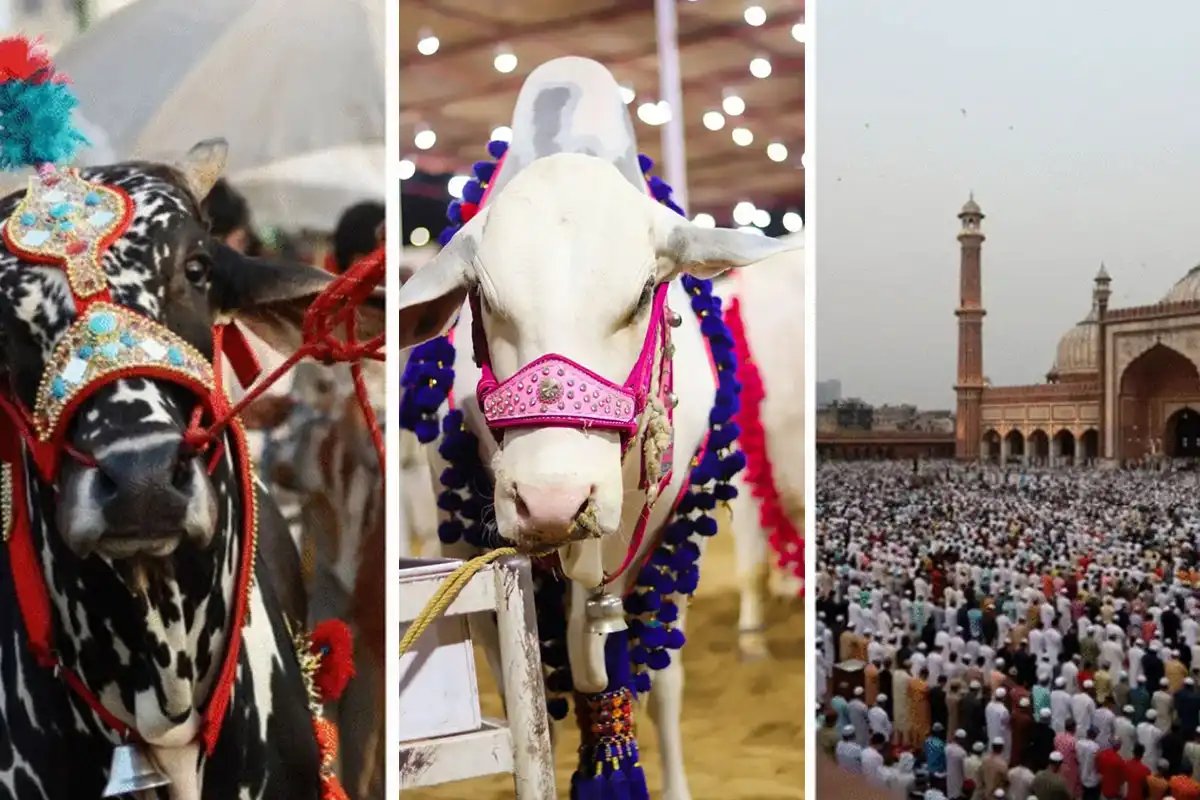 Pakistan Celebrates Eid ul Adha with Unity and hope for regional peace