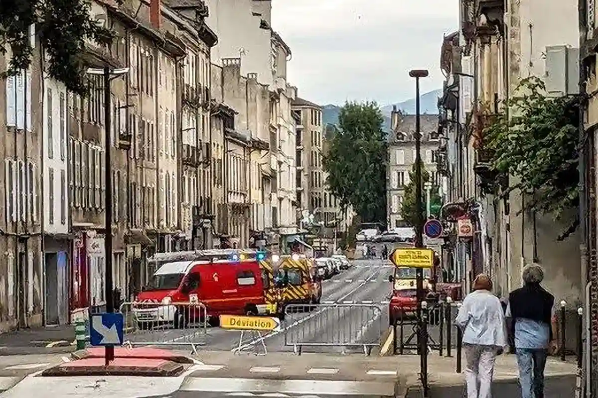 Bee Swarm Injures 24 in France, Three in Critical Condition After Hornet Attack
