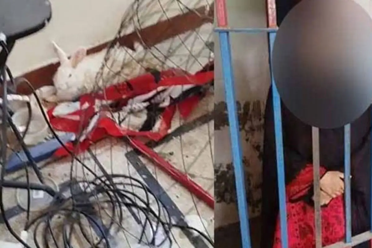 Woman Arrested in Lahore for Killing Animals and Posting Graphic Content Online