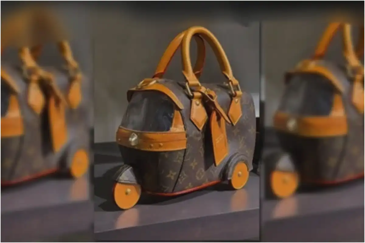 Louis Vuitton’s Rickshaw Bag Goes Viral for Its Unusual Design & Massive Price