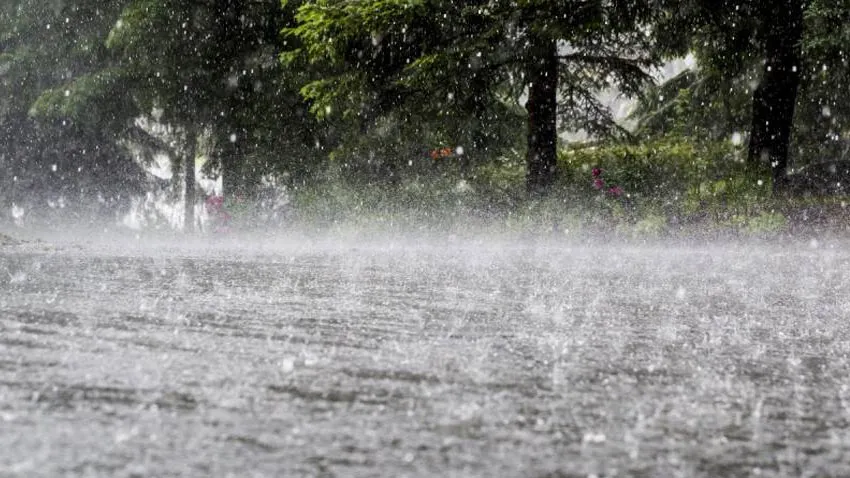 Rainfall Alert: PMD Forecasts Widespread Showers, Thunderstorms Across Pakistan