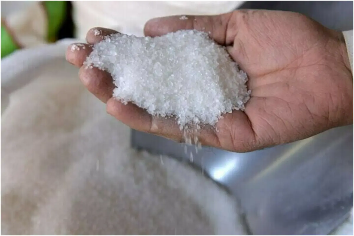 Expensive Bids Halt Sugar Import Decision
