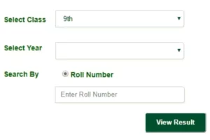 BISE DG Khan 9th Result 2025 Announced; Check Online 9th Result DG Khan