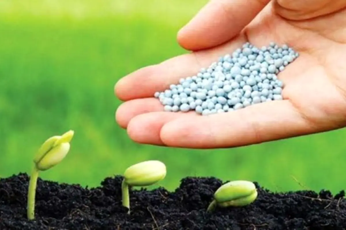Fertiliser prices in Pakistan