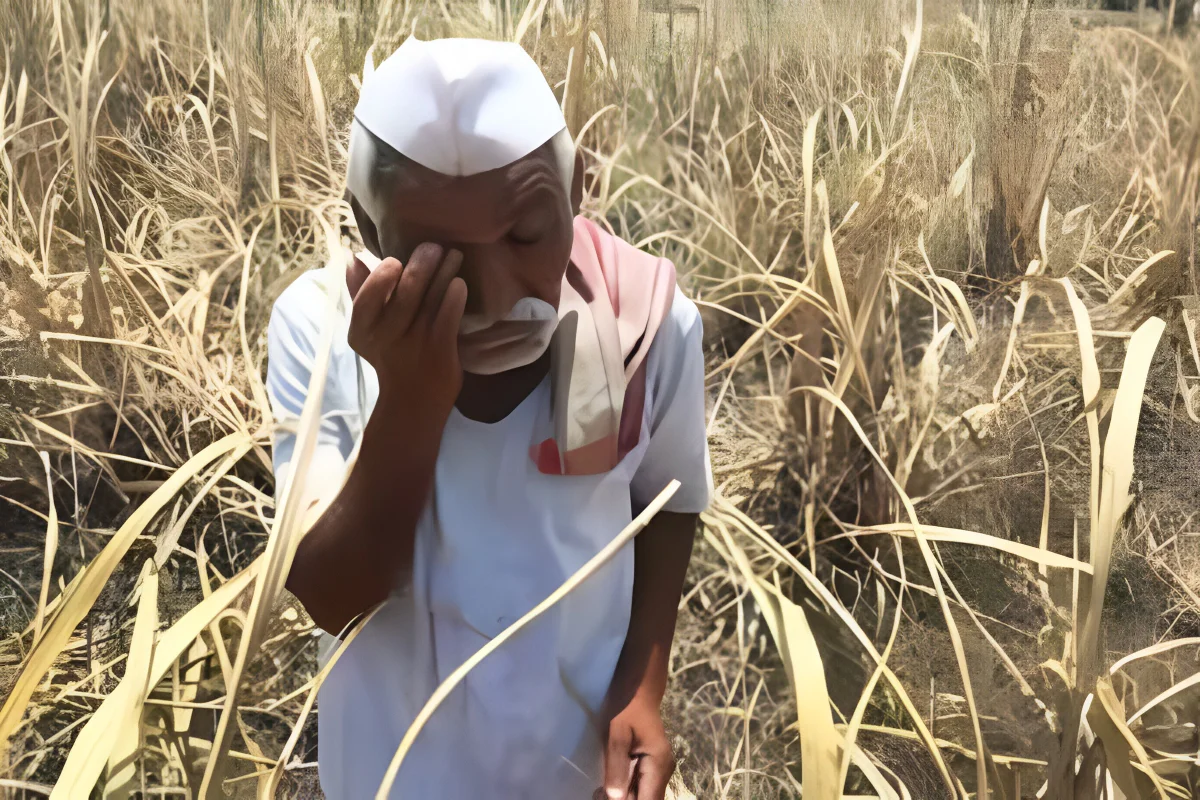 Farmer Suicides Under Modi Govt