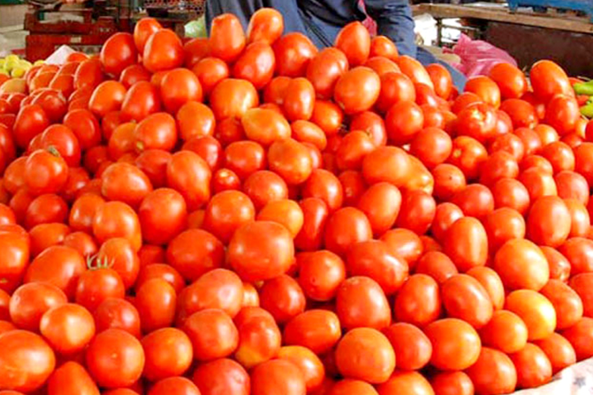 Tomato price in Pakistan