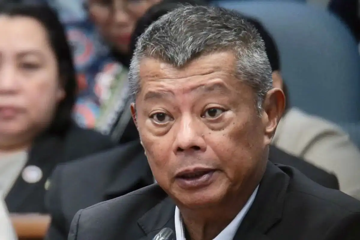 Who is Boying Remulla?