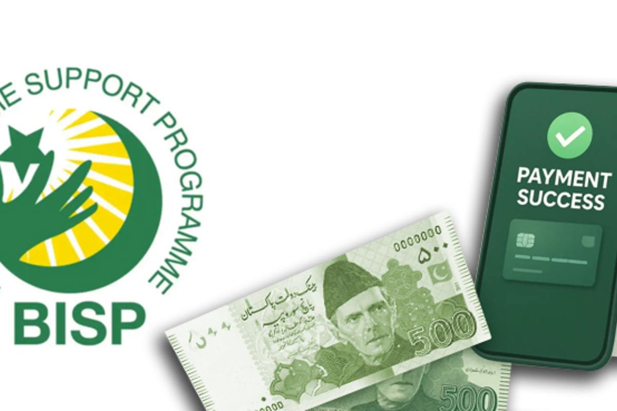 BISP 8171 district-wise payment