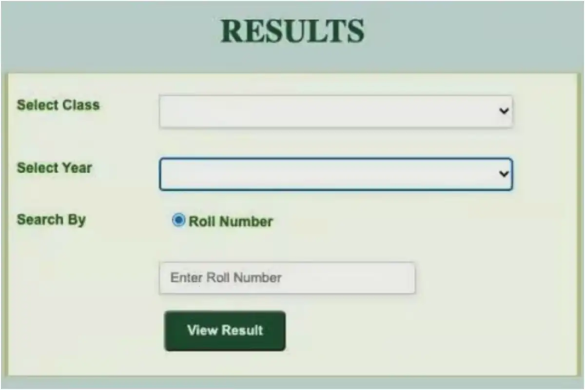 Punjab Board 11th Class Result 2025