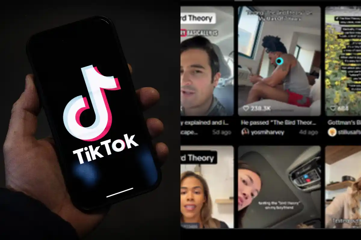 What Is Bird Theory? Everything to Know About Viral Test Taking Over TikTok
