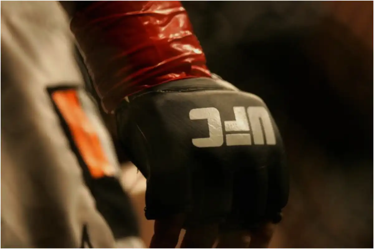 UFC Fights Live: How to watch UFC online?