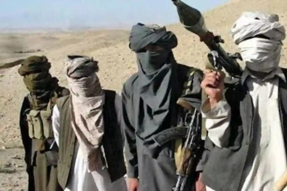 Suicide Bomber Revelations
