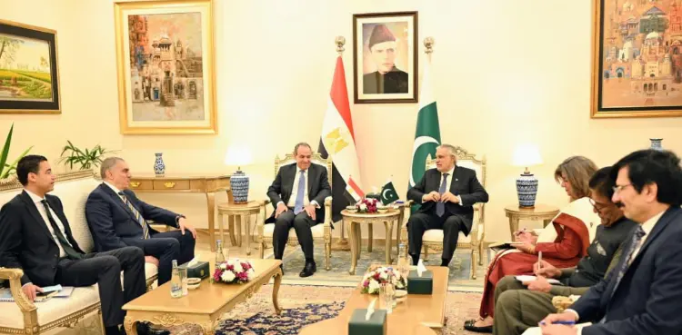 Pakistan, Egypt Hold Delegation-Level Talks, Condemn Terror Attacks