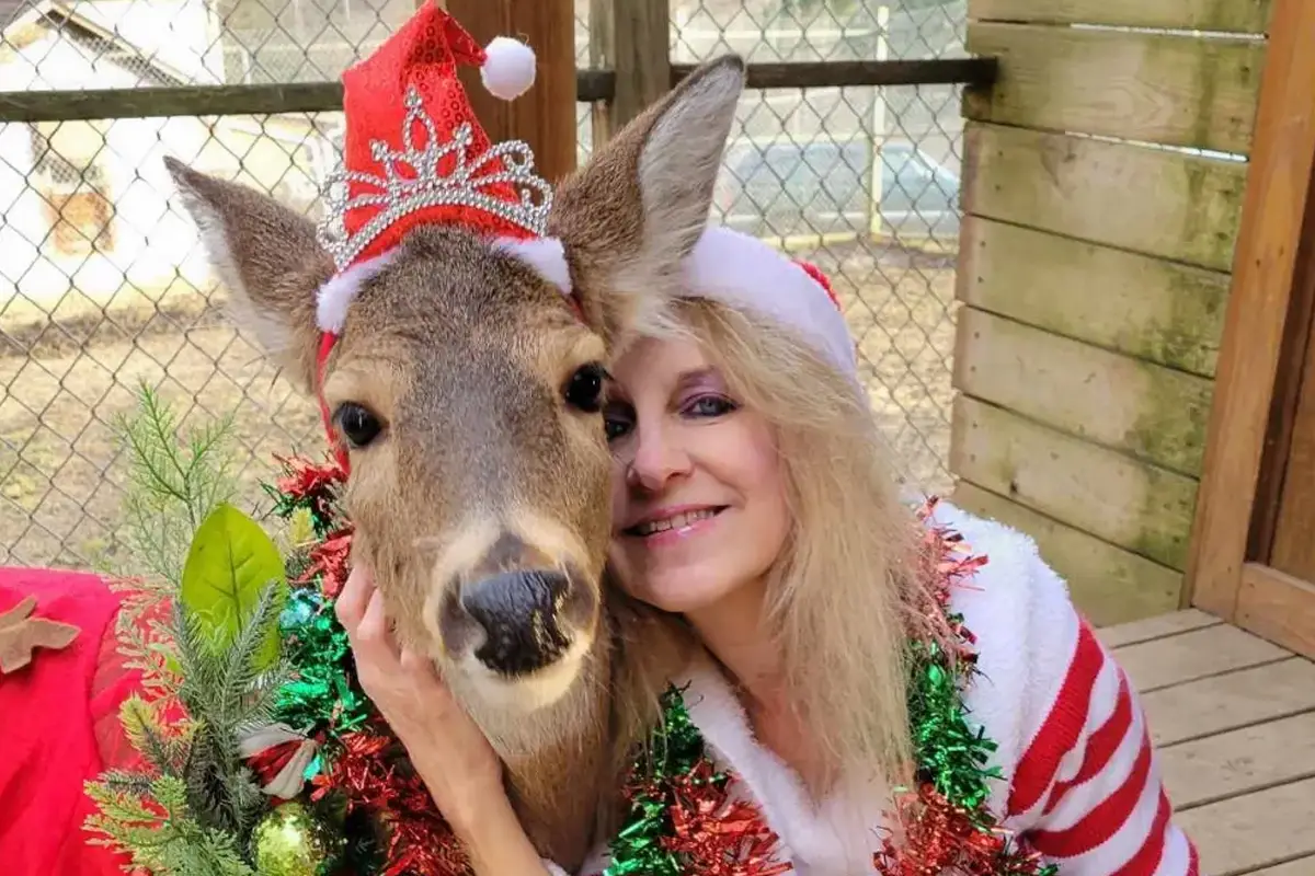 Who is Anthony “Tony” L. Proger? Husband of Jodi Proger, Animal Activist Mauled to Death by Rescued Deer