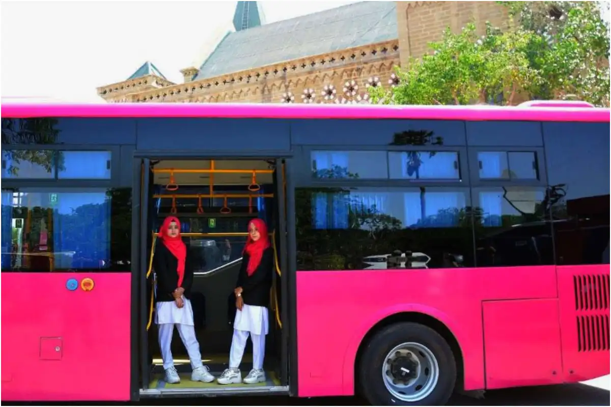 Karachi Pink Bus New Route, Timings and Latest Ticket Price: Starting Today (17th Nov, 2025)