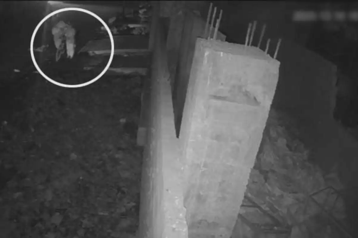 Elderly Man Dies After Accidentally Falling Into Nullah