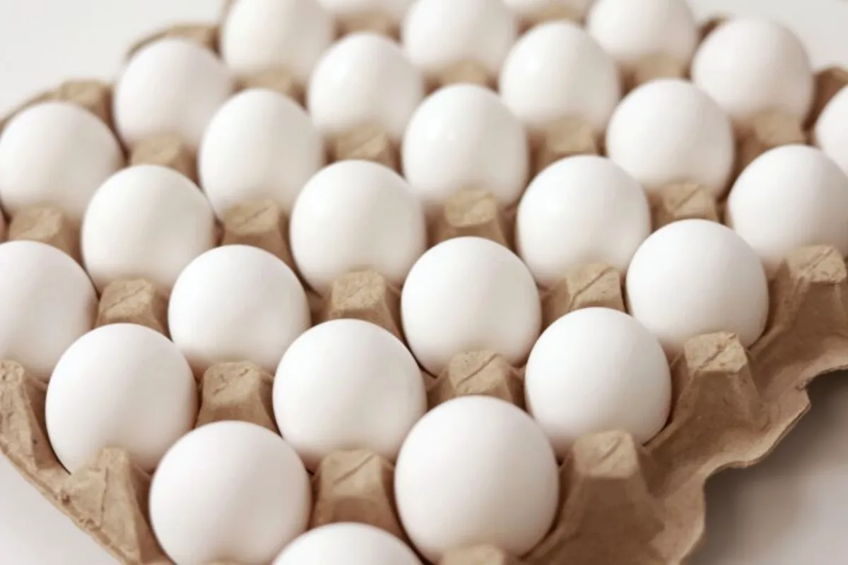Egg prices increase in Pakistan – check rates