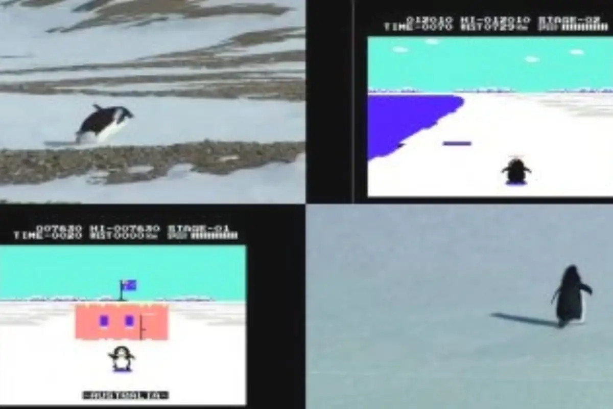 Penguin Video Game to Penguin Meme